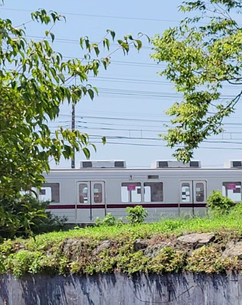 Commuting_rush's tweet image. 秩父線に東武10000系が現れた！慌てて撮影した為最後尾しか撮れなかったですが、おそらく8両だったと思います。
秩父線に東武車両が仲間入り⁉️

#秩父線
#東武鉄道