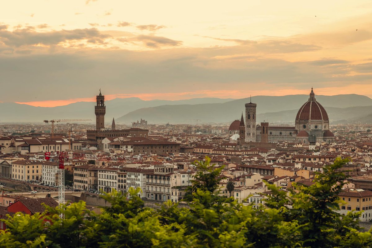 Susan Nelson tweet media