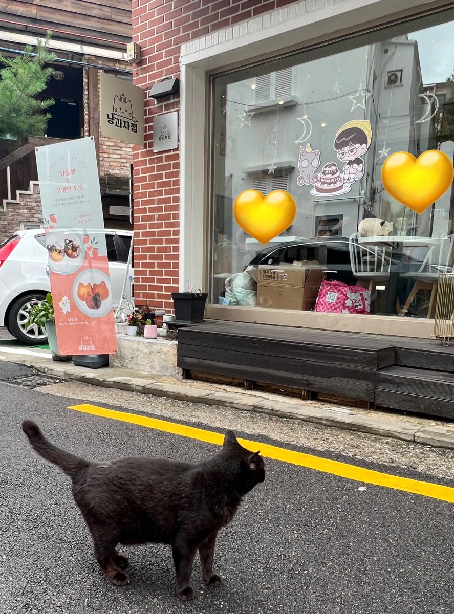 viethoshi's tweet photo. GUYS A CAT CAME TO VISIT WONWOO’S BDAY CAFE [REAL] 🥹🥹 https://t.co/F9VyaI3HzV