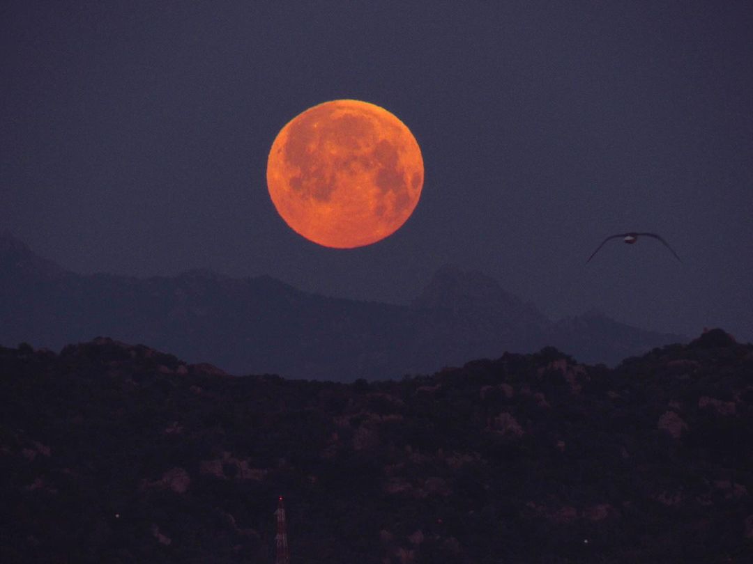 MOON (@moon4pics) on Twitter photo 