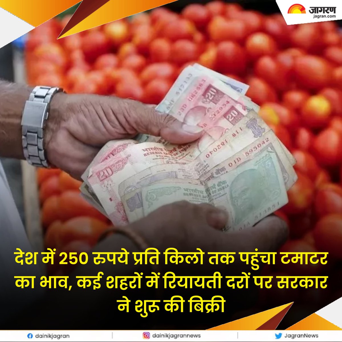 bitly.ws/LupN || देश में 250 रुपये प्रति किलो तक पहुंचा टमाटर का भाव, कई शहरों में रियायती दरों पर सरकार ने शुरू की बिक्री

#TomatoPrices #VegetablePrices #PriceHike #GovernmentInitiative