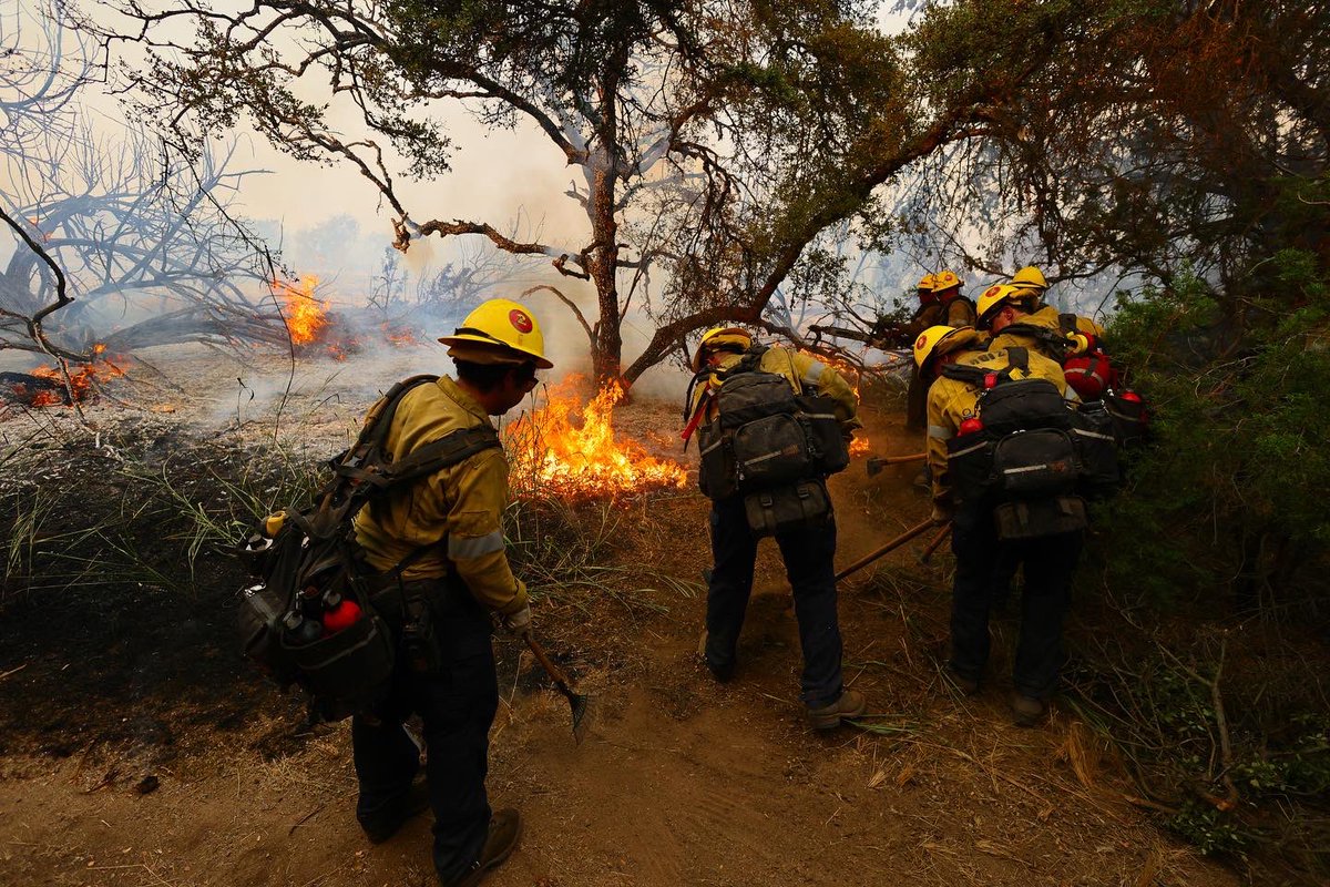 SwansonPhotog's tweet photo. #rabbitfire #gavilanfire #riversidecounty #losangeles #california #calfire #wildfire 

 #onassignment @AFPphoto https://t.co/8NIZmowWbS