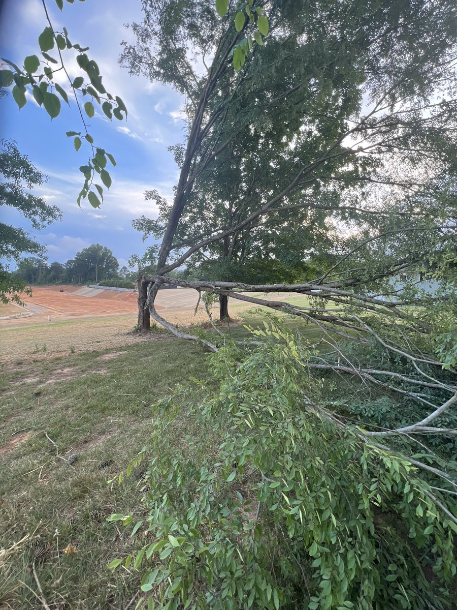 SawyerInsurance's tweet photo. I called my agent. He came
out and said it’s below my deductible and I was lucky it didn’t damage the structure. Lucky me. 
#juniortheinsurancedog https://t.co/vAN7qScdrG