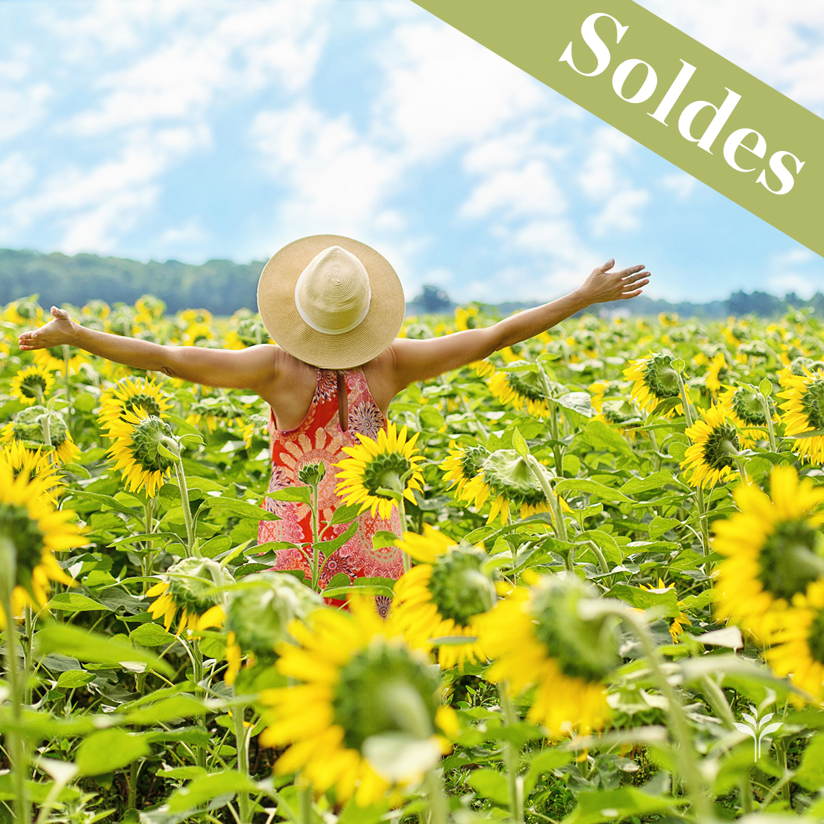 GardenCentreSc1's tweet photo. Les soldes continuent dans nos Garden Centres! Décoration, meubles ou plantes, nous vous invitons à dénicher les bonnes affaires! https://t.co/BDl7mlsfqL Nous sommes ravis de vous accueillir. #schilliger https://t.co/UAX6Qpu96Q
