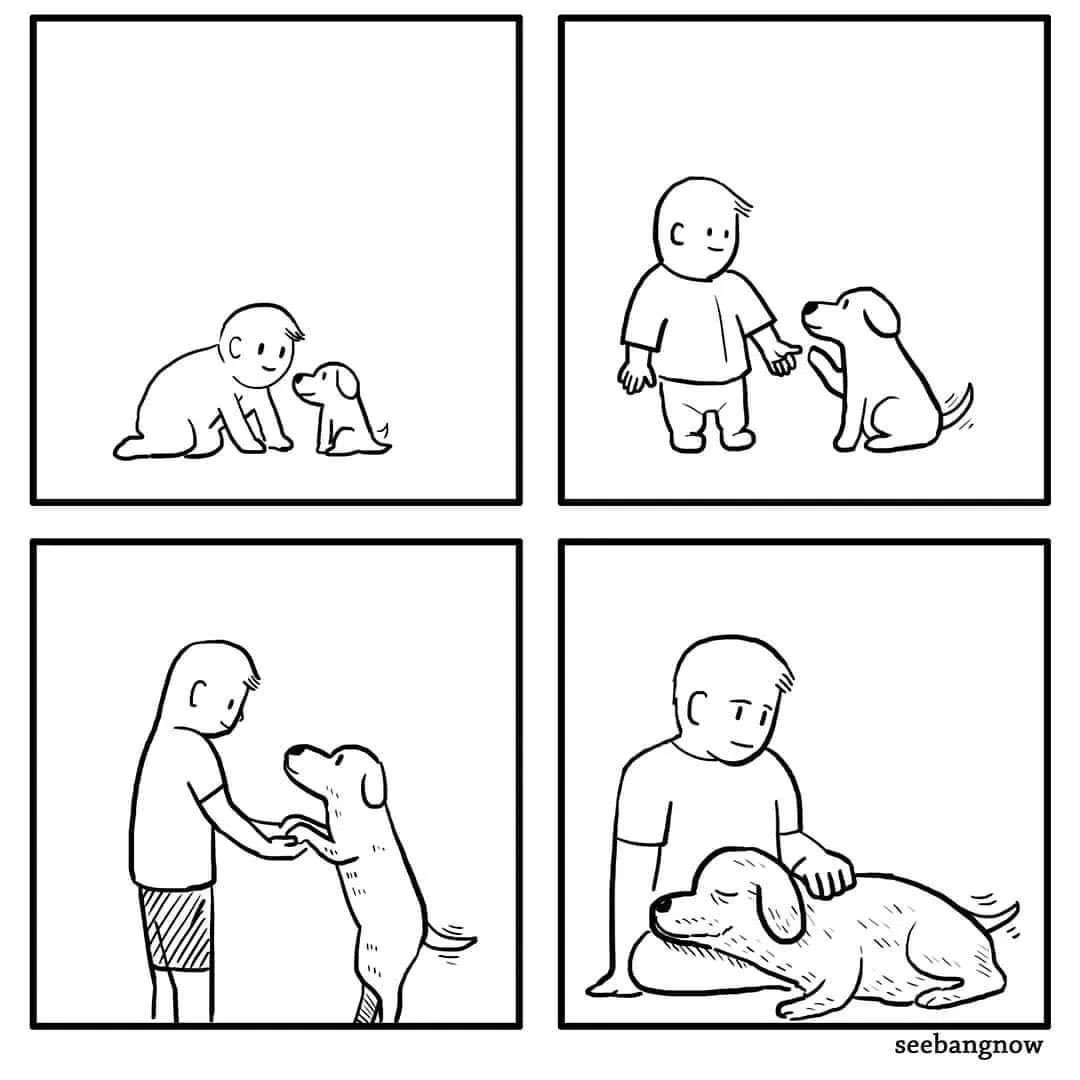 El ciclo del amor!!