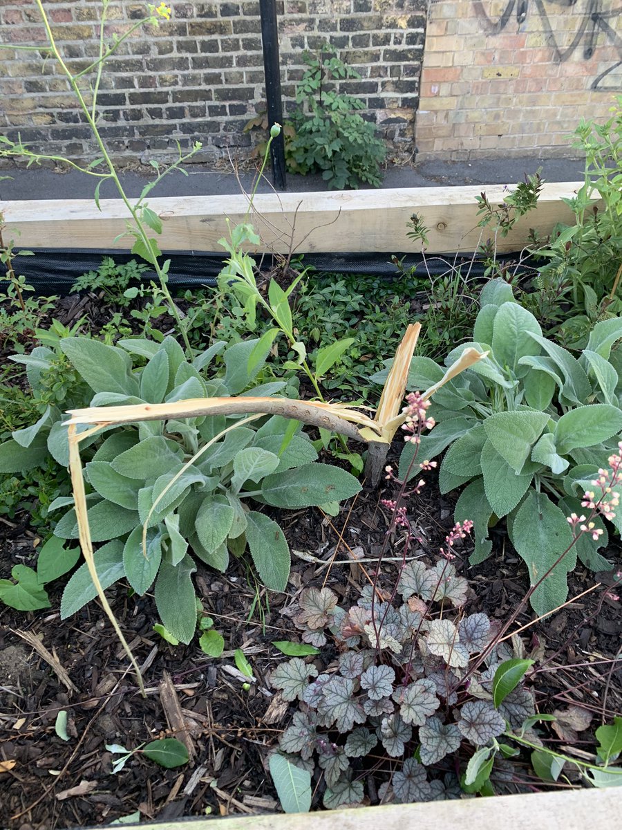 Dave Crowley tweet media