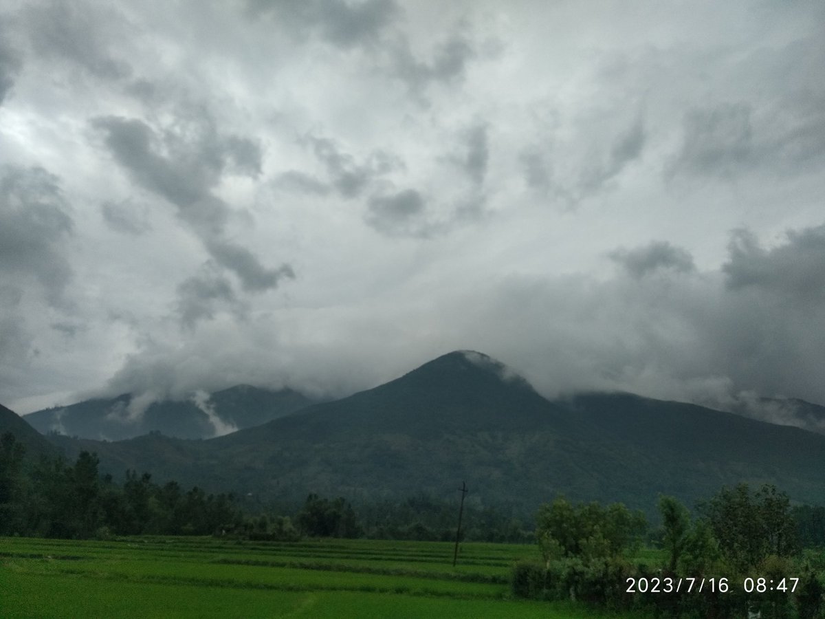S_IqbalKhan's tweet image. #PaddyFields #CloudySky