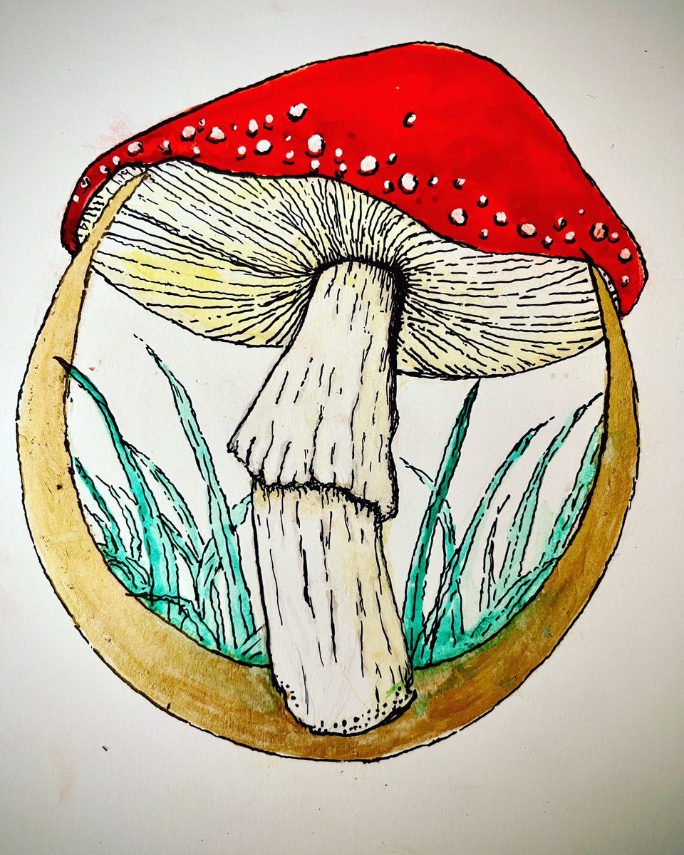 OutofmyBrainart's tweet photo. I’ve been painting #mushrooms with #watercolor. I’m going to list the originals and prints in my #etsyshop soon. Which is your favorite? https://t.co/VDKNK4gqpA
