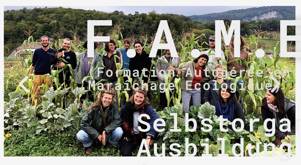 Genossenschaft NeNa1 tweet media