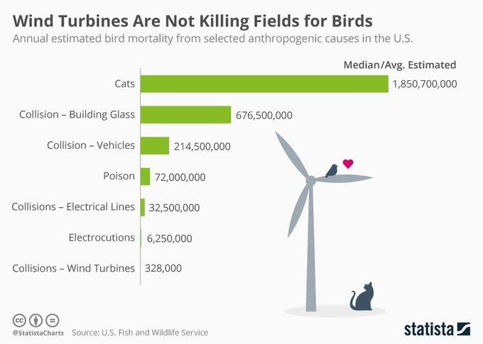 Wind turbines are not killing mines for birds! Cats kill 1.85 billion birds every year in the United States, buildings kill 675 million birds, vehicles kill 214 million birds, and we poison 72 million birds! For comparison, wind turbine are responsible for 328,000 bird deaths.…