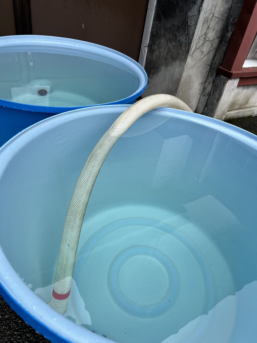 ippaku1688's tweet photo. 五城目町は断水が続いております。

蔵の前にこのように仕込水を準備しておりますので是非お使いください🙆‍♂️

注）飲み水ではなく、トイレの水などにお使いください‼️

リツーイトして頂ければ幸いです。 https://t.co/1eQS1W0YOk