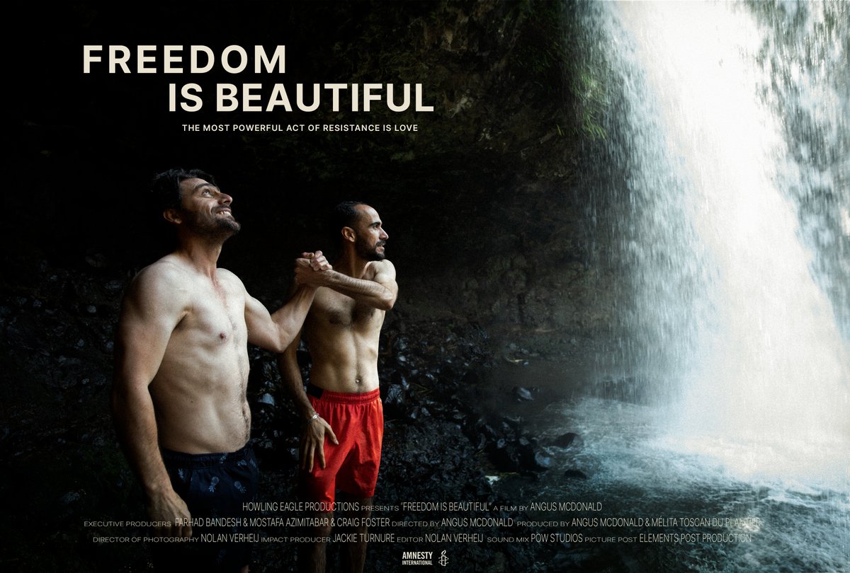 FREEDOM IS BEAUTIFUL tweet media