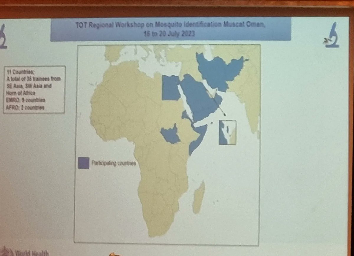 WHOOmanOffice's tweet photo. With a total of 35 participants from both @WHOEMRO  and @WHOAFRO regions, the 5-day TOT will provide a platform for focal points to use the identification keys to the anopheles malaria and major aedes.

#WHO75
#HealthForAll_ByAll https://t.co/9vMiHHQTTa