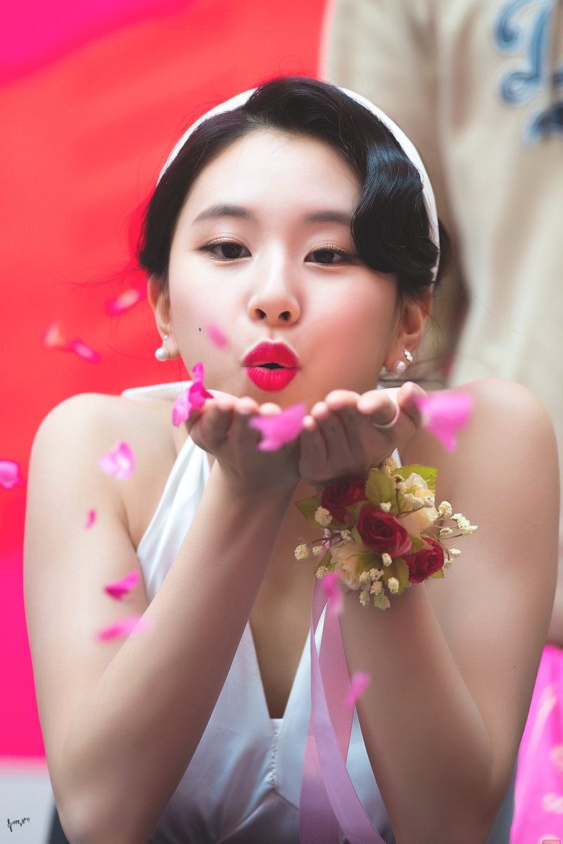 hourly chaeyoung (@chaeyounghours) on Twitter photo 