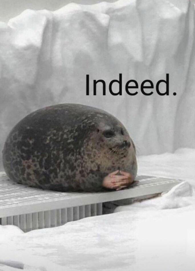Fat Seal SEALS With It On Twitter im Burning Fat Indeed SEALS fat-seal-seals-with-it-on-twitter-im-burning-fat-indeed-seals