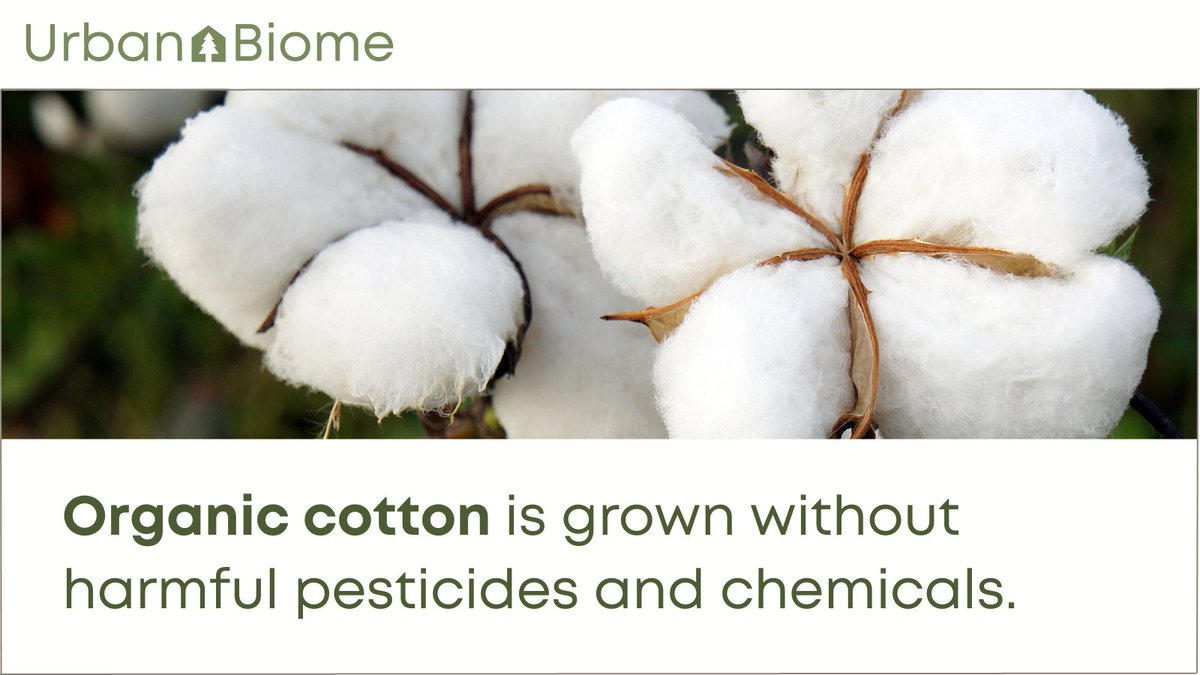 The production of cotton releases harmful pesticides and chemicals into the soil (and water), whereas #OrganicCotton is grown without polluting the soil or water.

Did you know this? Leave us a comment.

#Organic #OrganicClothing #OrganicFashion