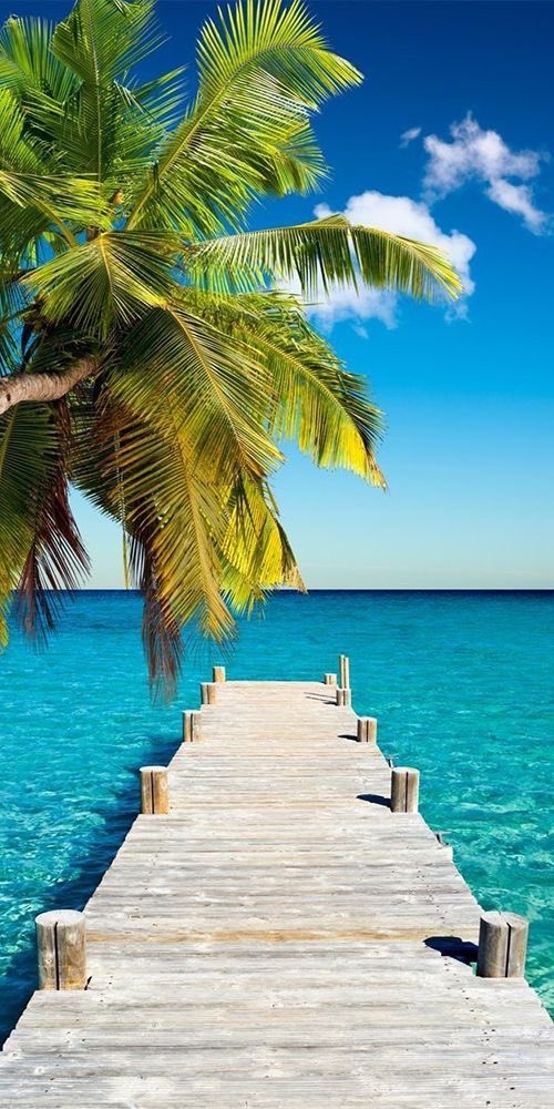 <a href="/HeyJudyH/">🇺🇸Judy H🇺🇸</a> <a href="/1sunshine_7/">sunshine</a> <a href="/Rebel4Kics/">Brenda C ❤️🇺🇸</a> <a href="/luvSB1/">SB 💗</a> <a href="/ALLEN4AMERICA/">Allen Williams #Conservative! #MAGA🇺🇸</a> <a href="/WildHoney808/">Wild Honey (aka Honey Bones)</a> <a href="/lobo0506/">Nancy 🇺🇸</a> <a href="/satansradio666/">MAGA ROCK GAINS</a> <a href="/RobTaylor551/">Robyn Taylor</a> <a href="/PaHenry16/">Mike Henry</a> <a href="/DevineAngel22/">🦋💞DevineAngel_22💞💫😇</a> <a href="/PAYthe_PIPER/">PIPER #MAGA GAINS</a> <a href="/qfd_bruce/">🇺🇸🇨🇦Dave or Bruce Still Deboosted🇨🇦 🇺🇸</a> <a href="/laura_7771/">🕊️ 💎𝐿𝒶𝓊𝓇𝒶 💎✨God is awesome all the time🙏</a> <a href="/Lissa4Trump/">Lissa aka Cowboy Killa 🐎</a> <a href="/Texas_jeep__guy/">🇺🇸𝓒𝓱𝓪𝓭🇺🇸𝓗𝓪𝓻𝓻𝓲𝓼𝓸𝓷🇺🇸</a> <a href="/Countrygirlcb28/">Chris</a> <a href="/UnsinkableDolly/">@UnsinkableDolly The Veterans Conductress</a> Good morning beautiful people! ❤️