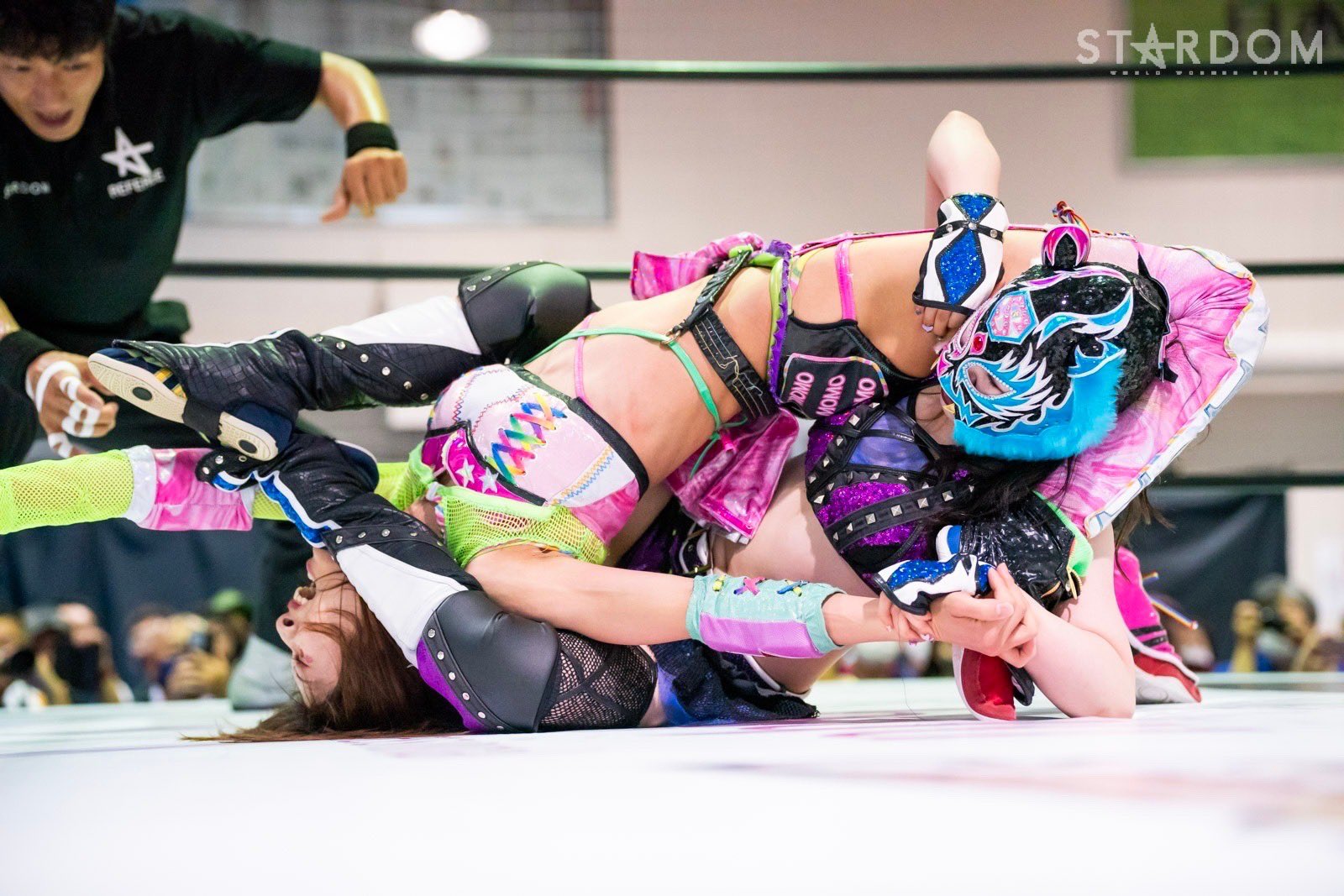 スターダム💙スターライト・キッド🐯🤍 on X: 