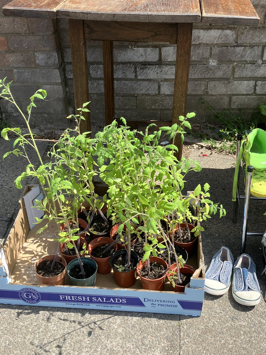 BlytheHillVillage tweet media