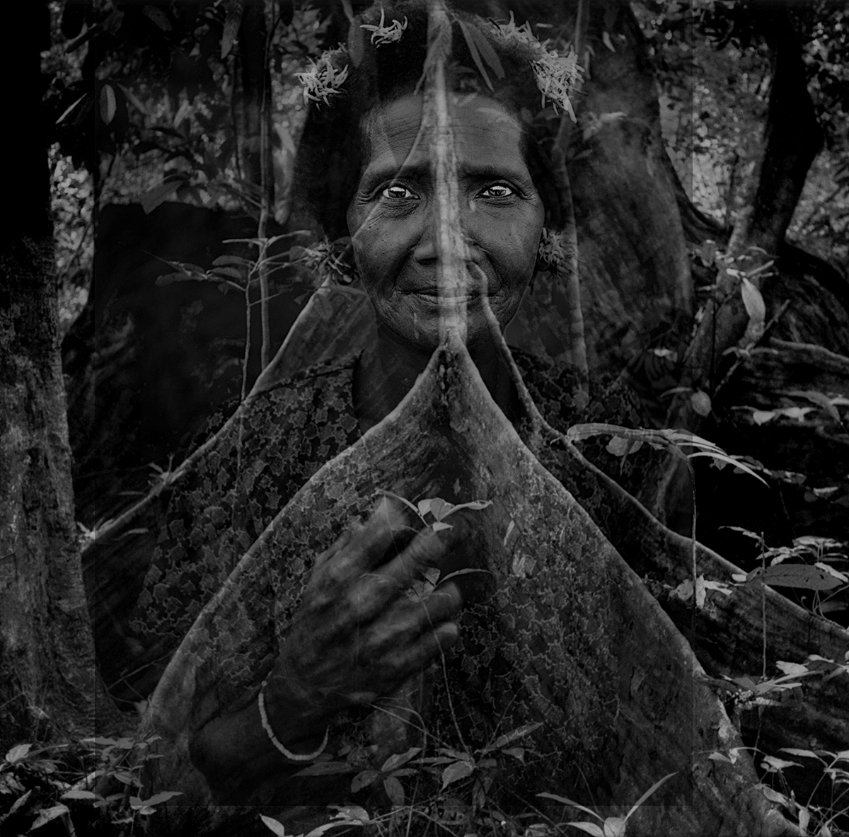 jameswdelano's tweet photo. From Not AI Series:
Rainforest Guardian. Kuala Koh, Malaysia. Som, a Batek woman, fresh-picked flowers from the rainforest in her hair, emerges from the buttressed roots of an old growth rainforest tree.
#notAI #multiimage #photography #surrealism #malaysia #rainforest #batek https://t.co/MiYSDcriml