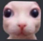 HelluvaBoss Funkin (ALPHA) 𝑰𝑴𝑷 𝑺𝑻𝑼𝑫𝑰𝑶𝑺🔥 on Twitter: