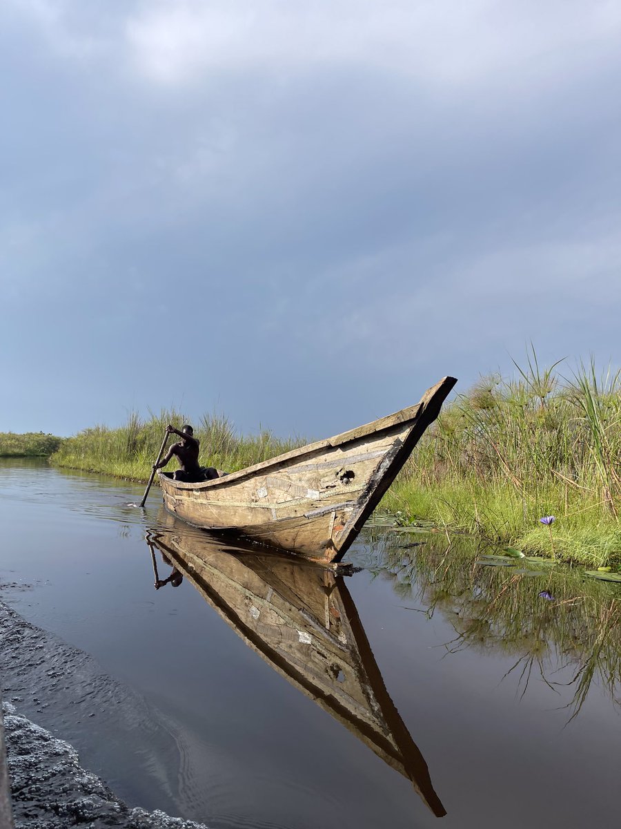 Annamurungi's tweet photo. Mabamba Bay excursions are not just ideal for birding but also also overall photography. Capture moments like this on a visit Uganda and Mabamba tour
#nature #ExploreUganda #mabamba #canoeride #photograghy #natgeo #sightsofuganda https://t.co/suVec5t0fg