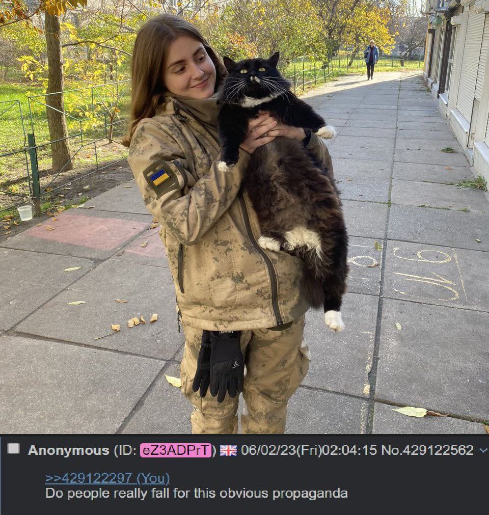 Mira of Kyiv 🇺🇦 tweet media