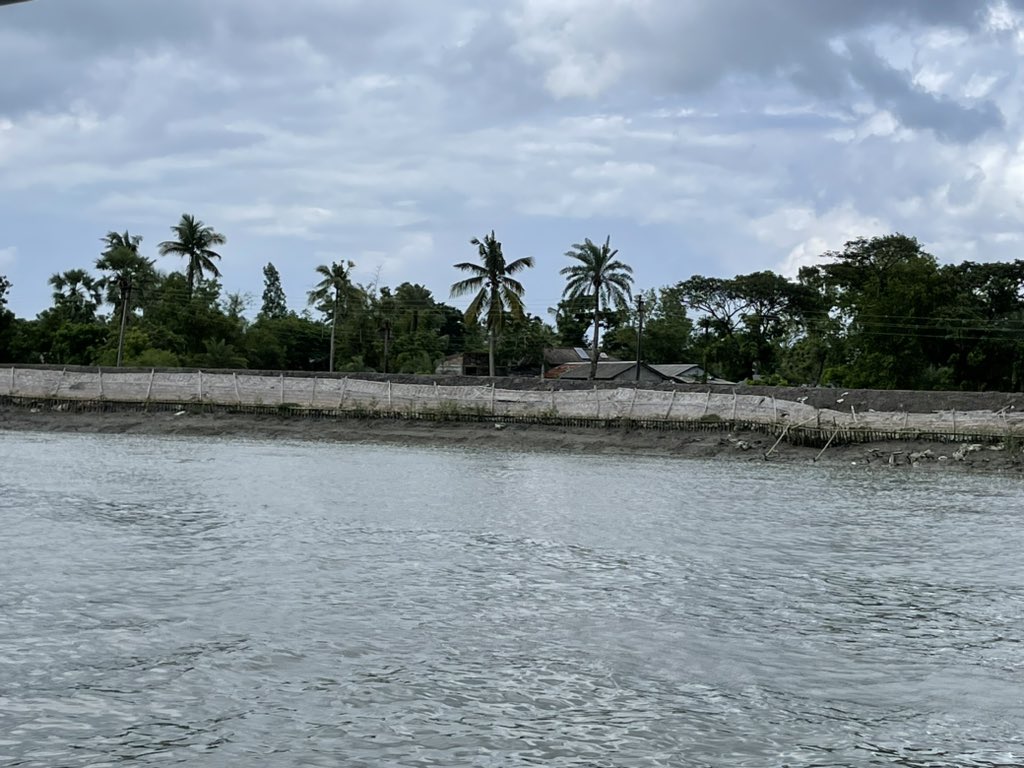 rajibshaw's tweet image. #embankment damages in #sundarban
