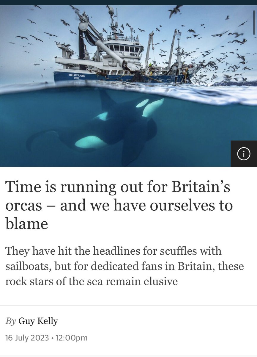 Christy T. Judd (She/Her) tweet media