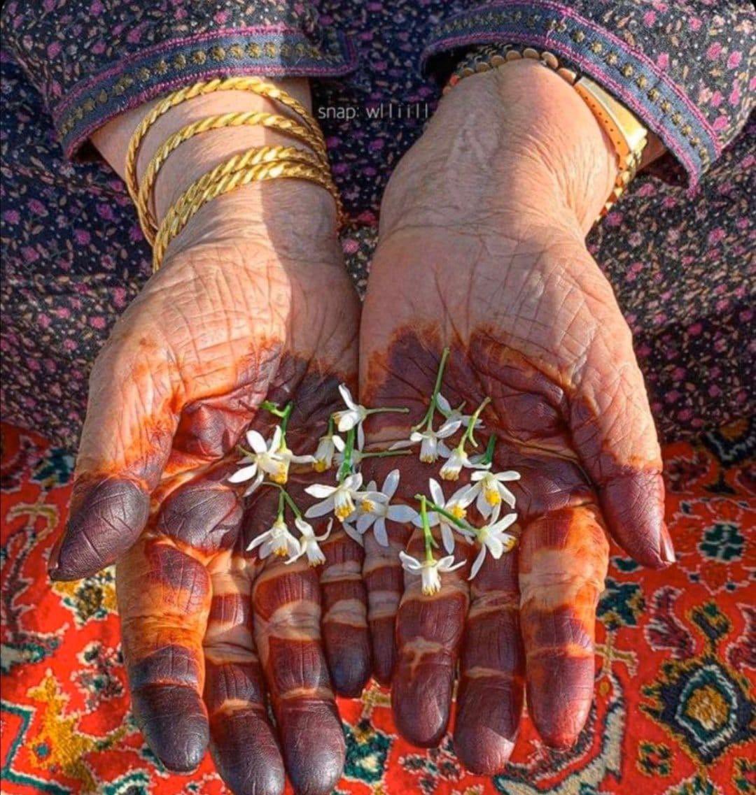 وكفوفُ أمي لامثيل لدفئها
كم دثرت قلباً فنال مناهُ
من علَّم الريحان أن كفوفها
روضٌ ففاحَ عليهما بشذاهُ