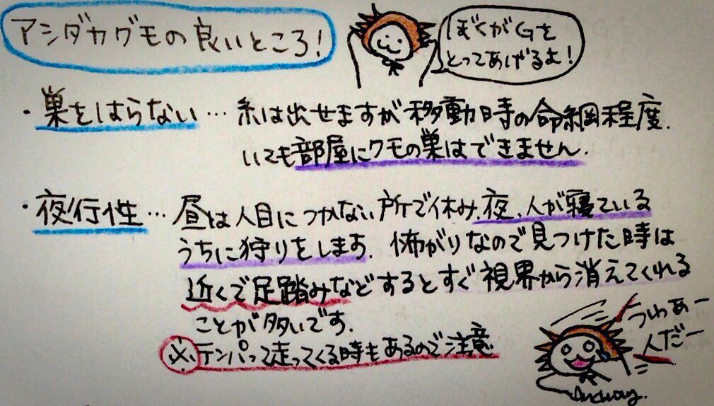 今年も害虫の多い季節になってきたので自然界のG駆除のプロ・軍曹ことアシダカグモの話を貼っておきます