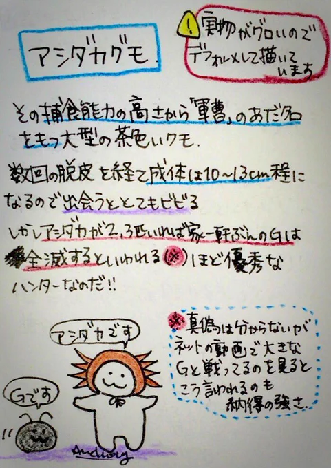 今年も害虫の多い季節になってきたので自然界のG駆除のプロ・軍曹ことアシダカグモの話を貼っておきます