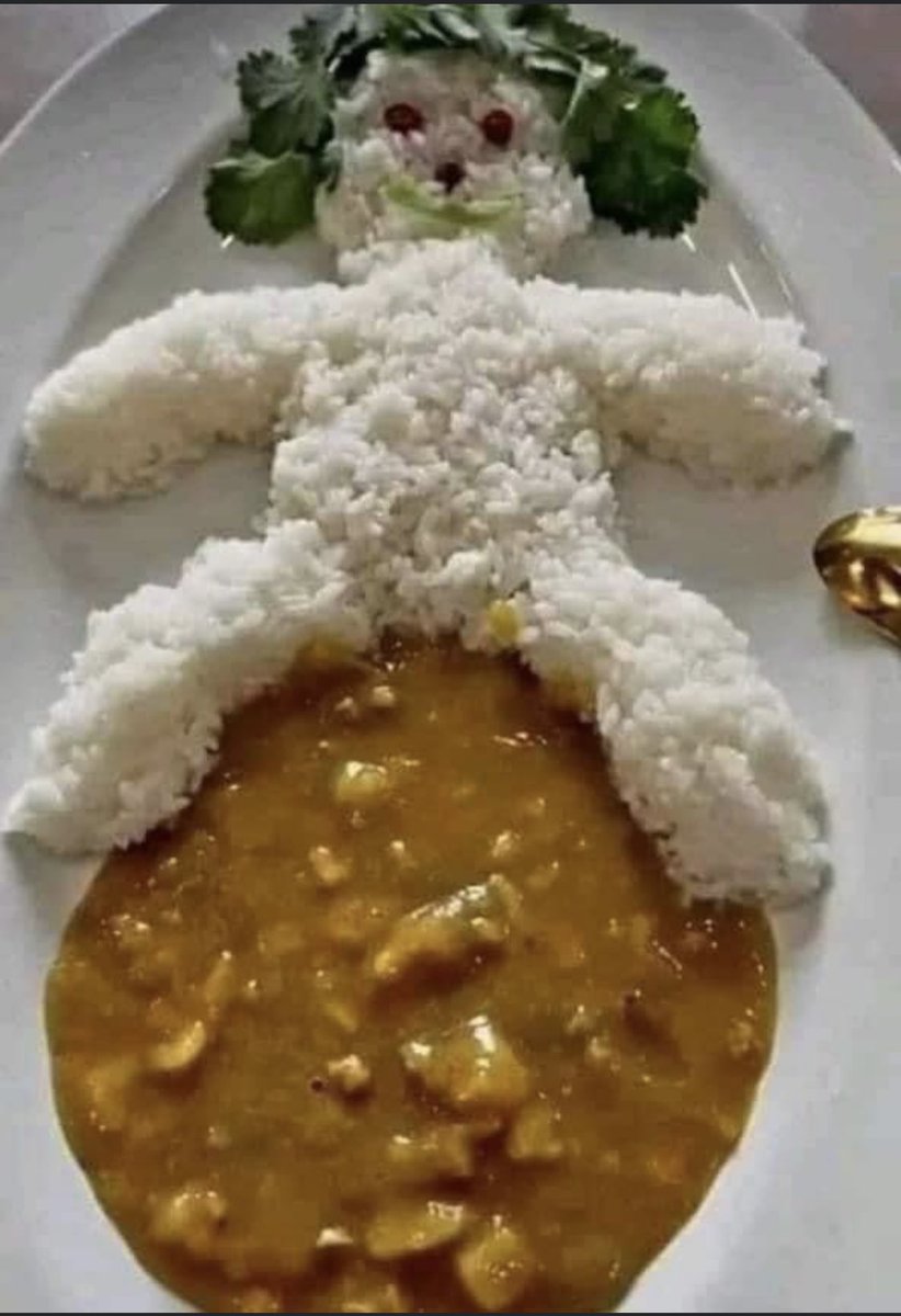 Russian family ordered Beef Stroganoff at Swedish restaurant and got this.🤣