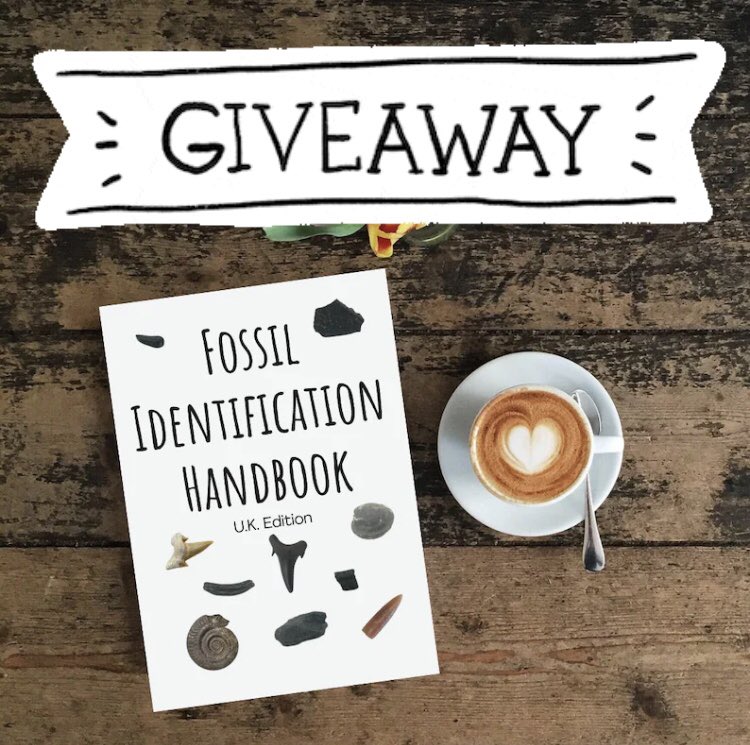 happyfossils's tweet photo. 🎁🎁 GIVEAWAY ANNOUNCEMENT🎁🎁

To enter:
📌 Follow @happyfossils
📌 Tag 2 friends who would love this 💙
📌 RT and like this post

Giveaway ends Monday 24th July at 10pm and the winner will be selected randomly later that evening 🎉 https://t.co/hDRuo6v6zB