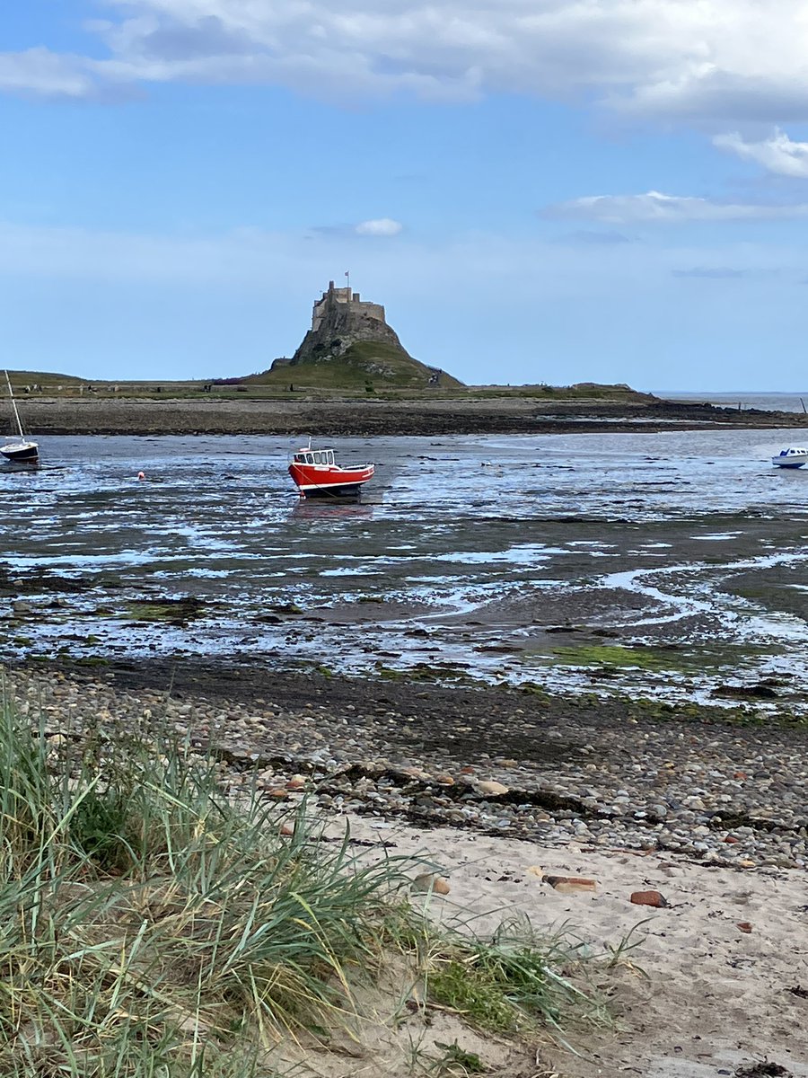 Chris Jeffery tweet media