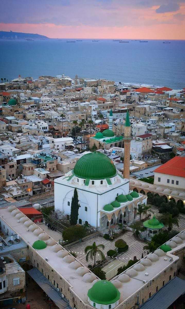 Have a nice day from Akka, occupied Palestine🇵🇸❤️