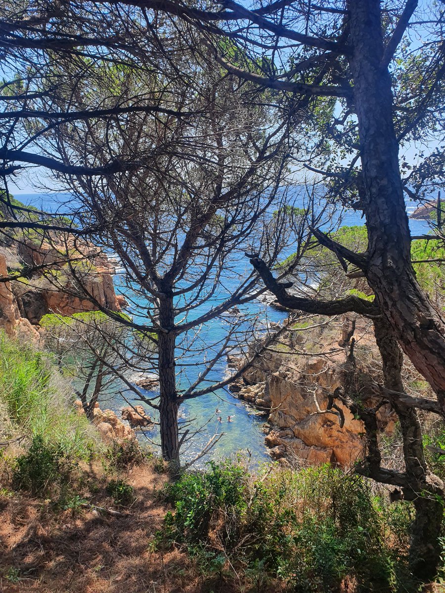 Increíble y extraordinaria la Costa Brava. 👍