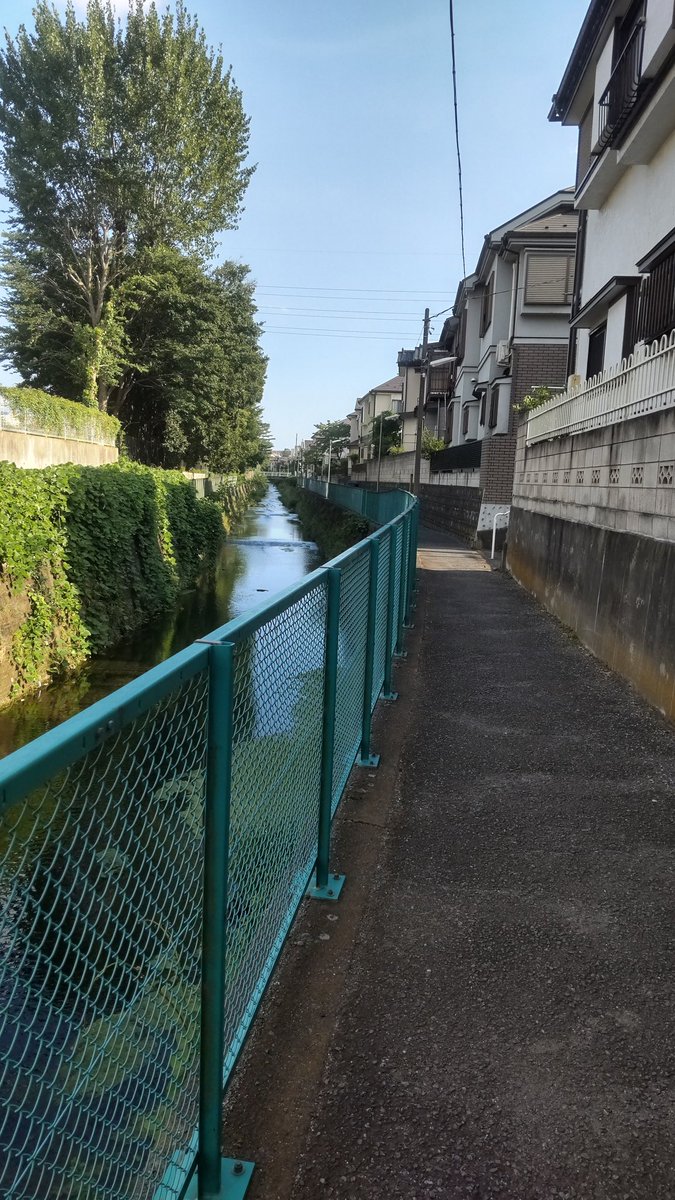 まねき猫🐉⚾🚴 tweet media