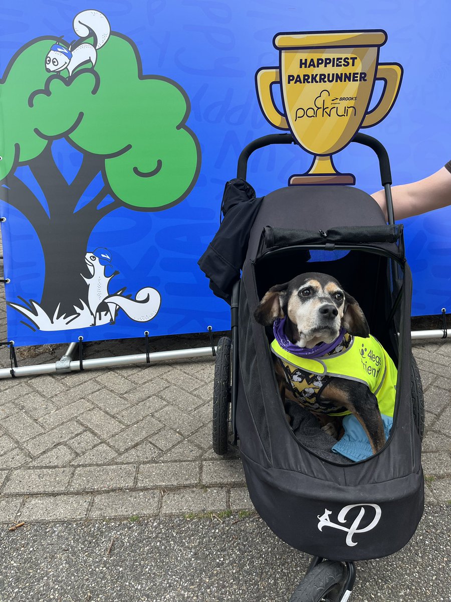 Laney loves Saturday mornings volunteering at #Amsterdam <a href="/parkrunNL/">parkrun Nederland</a>!