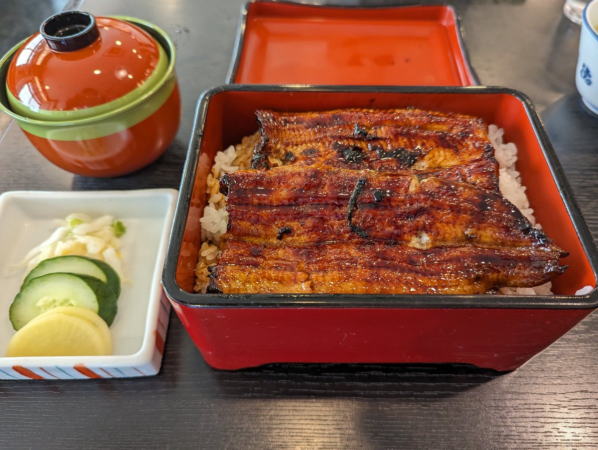 浜松出張の日当を鰻に突っ込んだ。赤字が黒字かは知らない。