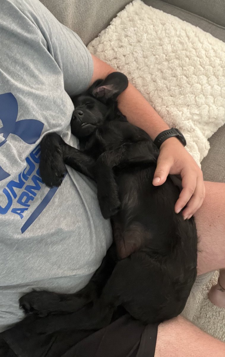 Sundays would usually be a long lay in for me.. since getting Poppy, no such thing 🥴😂🐶