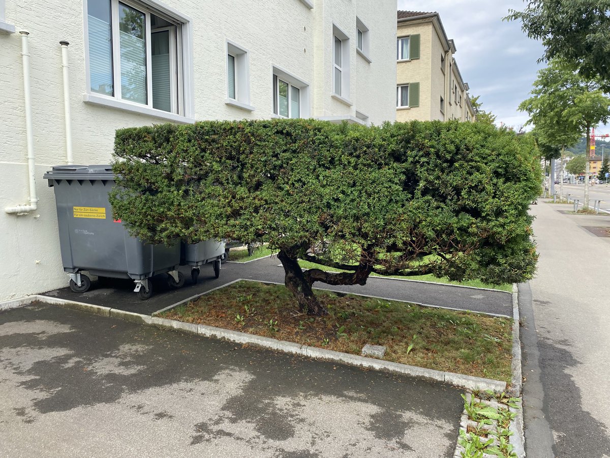Wie die Natur so spielt…