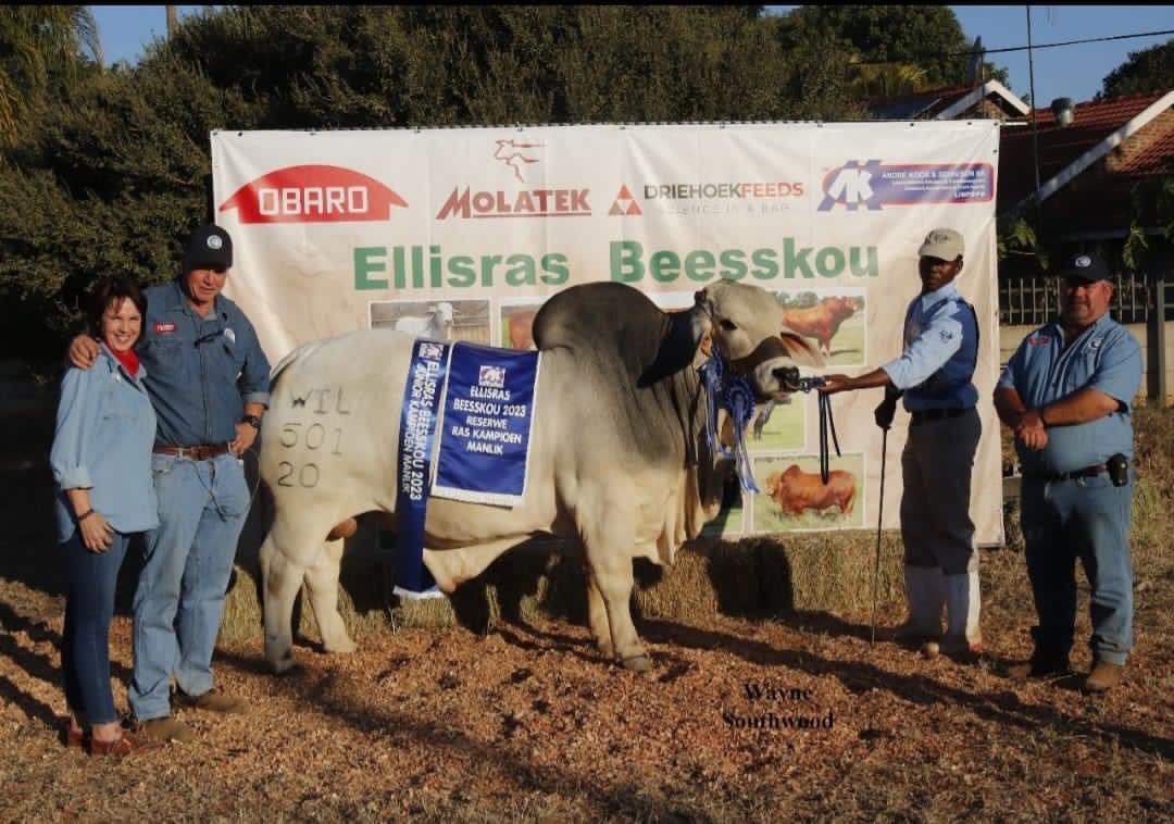 Congratulations Louma Boerdery