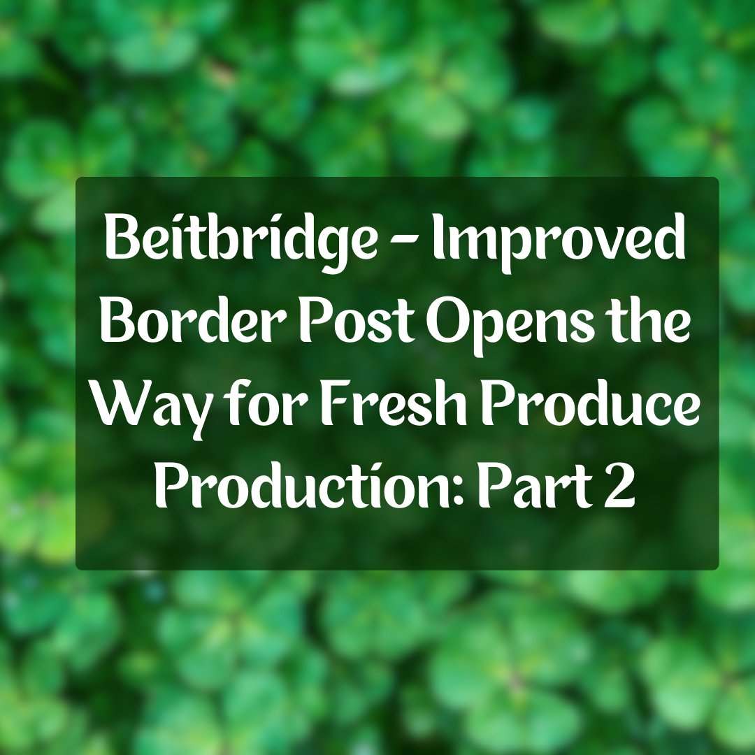 ICE_Tech_'s tweet image. Are you ready to explore the rising global phenomenon of the avocado market and Zimbabwe's strides in horticultural development? Get ready for our insightful article coming out tomorrow! #icetech #iceborders #beitbridge #zimbabwe #zambia #kenya #africa