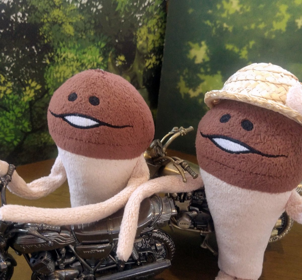 なめこの夏休み ～ツーリング～