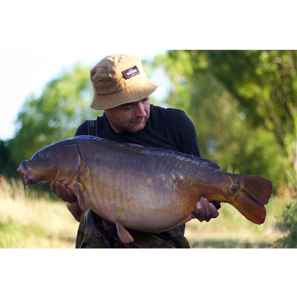 Sticky Baits tweet media