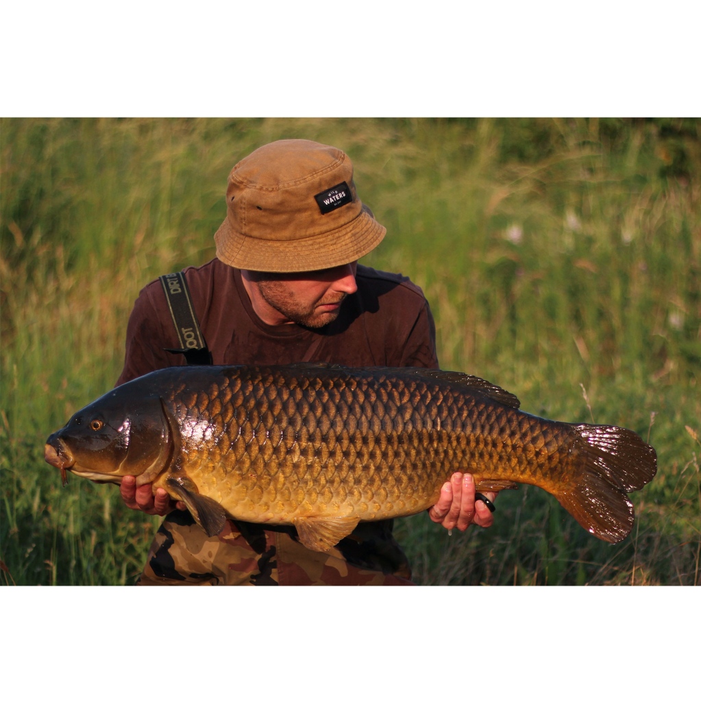 Sticky Baits tweet media