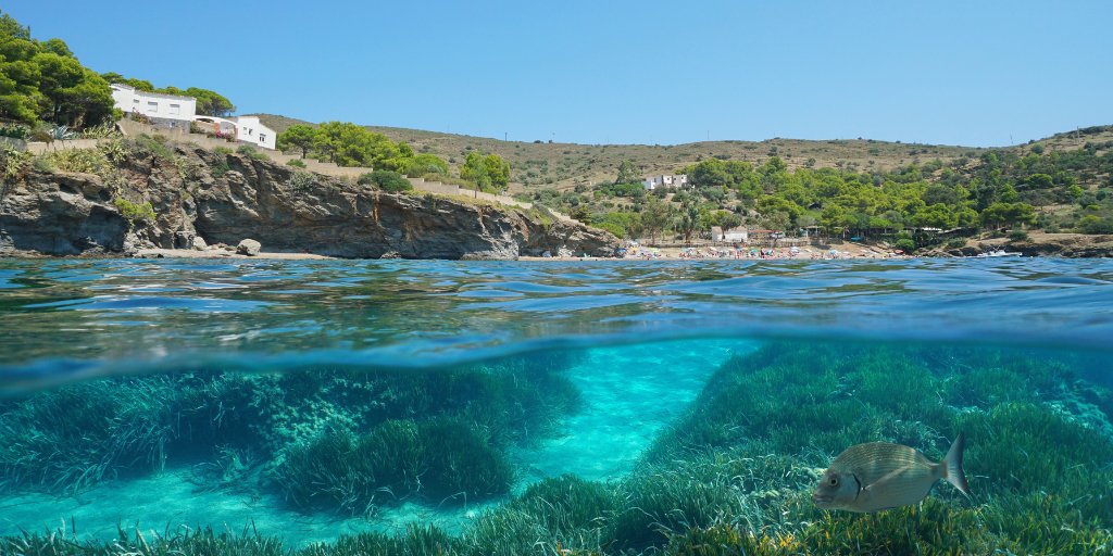 Due to its popularity as a tourism destination, the #Mediterranean Sea is under huge environmental pressure. #EMFAF-funded project #REBOOTMED 🇫🇷🇮🇹🇪🇸🇹🇳🇲🇦🇲🇷 is re-imagining coastal & maritime eco-tourism in the Western Mediterranean. In full👉 europa.eu/!4WHHYN