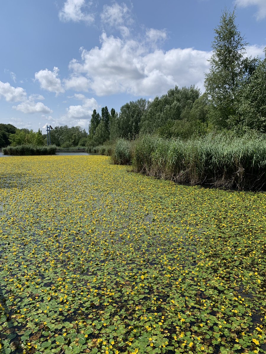 <a href="/Ruhrgebiethalde/">Ruhrlaubszeit@ruhr.social</a> <a href="/MeinRuhrpott/">Mein Ruhrpott</a> Der Pott! Hier: Hattingen.