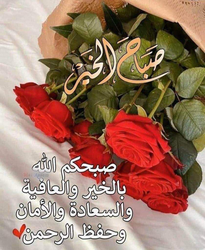 وداد العراقي عراقي tweet media